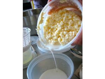 Host a Yogurt and Kefir Class