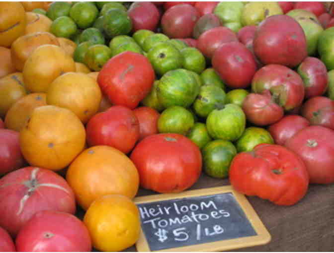 Spring CSA from Snow's Bend Farm