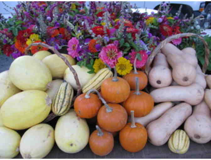 Spring CSA from Snow's Bend Farm