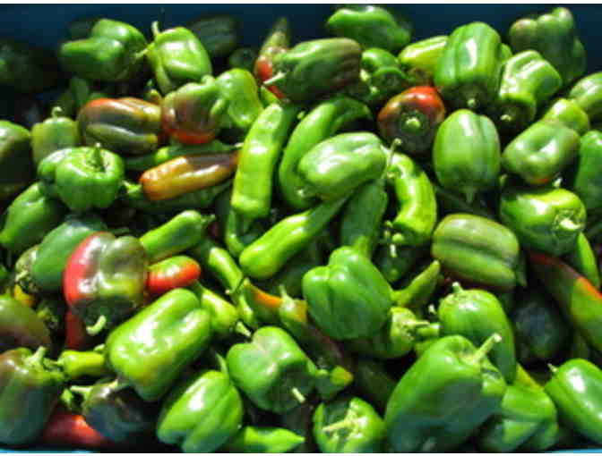 Spring CSA from Snow's Bend Farm