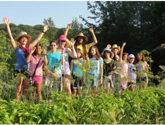 Eden Village Camp: $300 Tuition Scholarship for Summer 2012