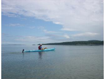 SeaScape Kayaking Tour