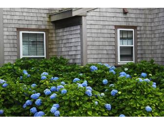 Enjoy a week on Nantucket Island during Indian Summer--4 BR house and car ferry included.