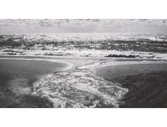 Four General Admission Tickets to the Peabody Essex Museum (two sets)