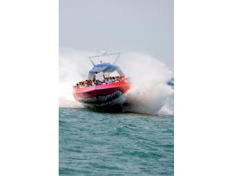 Codzilla Thrill Ride for a Family of Four