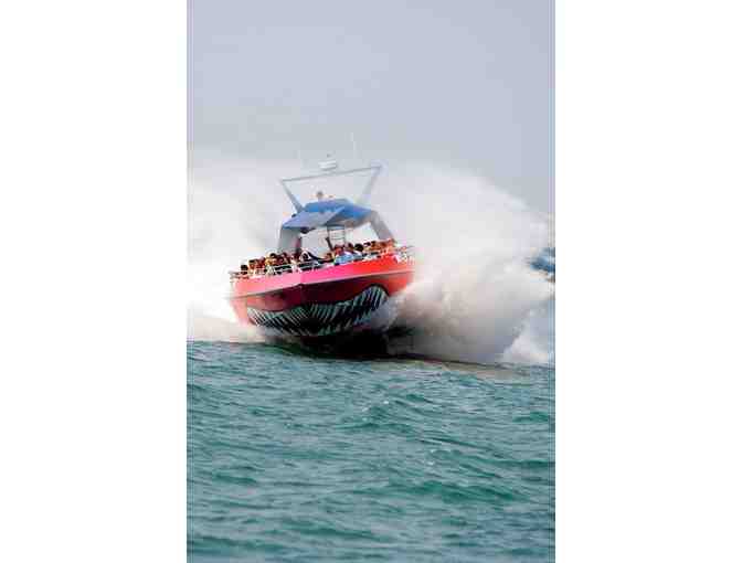 Family Four Pack to Codzilla, Boston Harbor's Splashiest Thrill Ride!