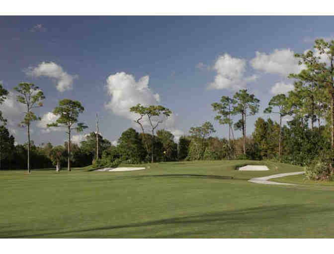 Sandhill Crane Golf Club - Palm Beach Gardens, FL. - A Foursome of Golf
