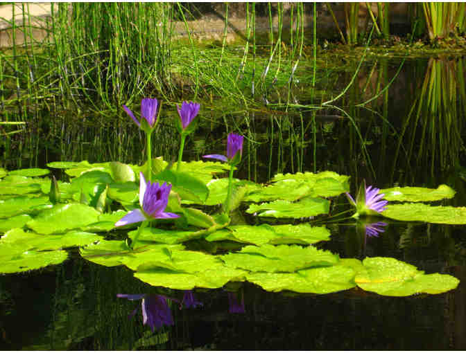 Fairchild Tropical Botanic Garden - A Family Membership