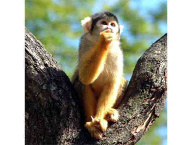 Monkey Jungle - One (1) Family Pass