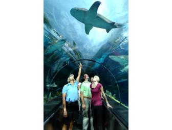 Ultimate San Diego, California Vacation