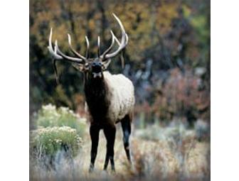 Royal Gorge Bridge & Park - Canyon City, Colorado