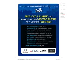 1 INCREDIBLE - VIVA Las Vegas Package