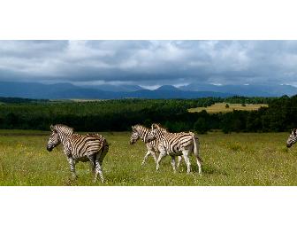 Gondwana Game Reserve - Mossel Bay, South Africa