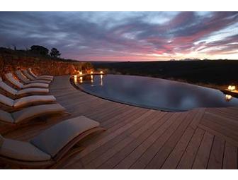 Gondwana Game Reserve - Mossel Bay, South Africa