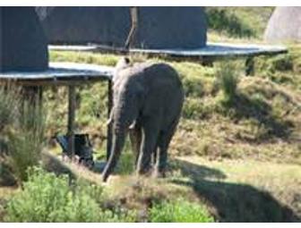 Gondwana Game Reserve - Mossel Bay, South Africa