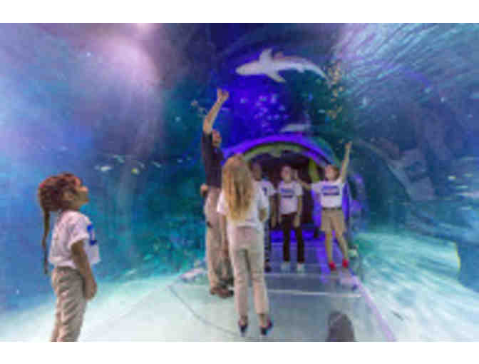 Sea Life Aquarium, Orlando - Photo 2