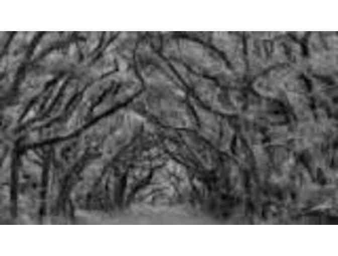 Family Portrait - Sea Glass Fine Art Photography