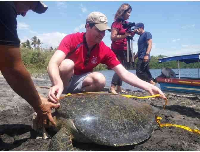 Sea Turtle Experience El Salvador