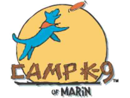 Camp K-9 Deluxe 2-Night Bunk Camp