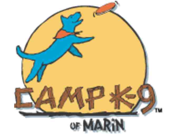 Camp K-9 Deluxe 2-Night Bunk Camp - Photo 1
