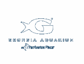 Georgia Aquarium Behind the Scenes Tour for 6