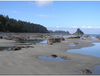 Full-Day Ecotour for 2 - Olympic National Park