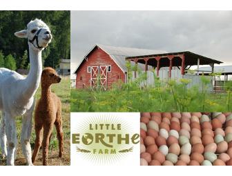 Little Eorthe Farm Egg Share and Tour