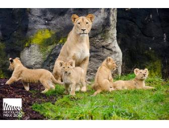 Seattle Family Fun Pack! Day Passes to Woodland Park Zoo and Pacific Science Center/IMAX