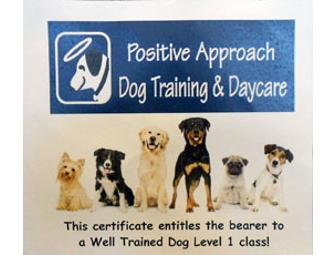 Puppy / Dog Training Gift Pack