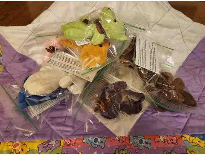 10 Hidden Bear Program Bears