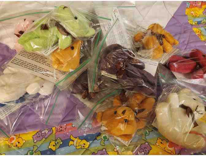 20 Hidden Bears for the Hidden Bears Program