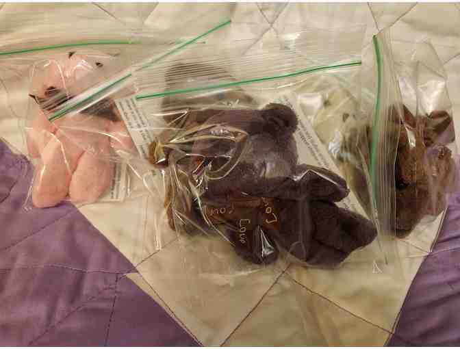 20 Hidden Bears for the Hidden Bears Program