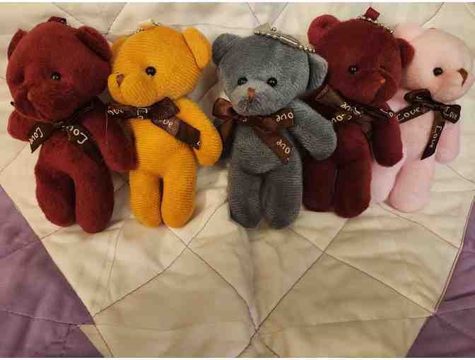 5 Hidden Bear Program Bears