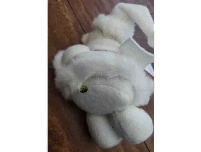 It's beginning to look a lot like snow!