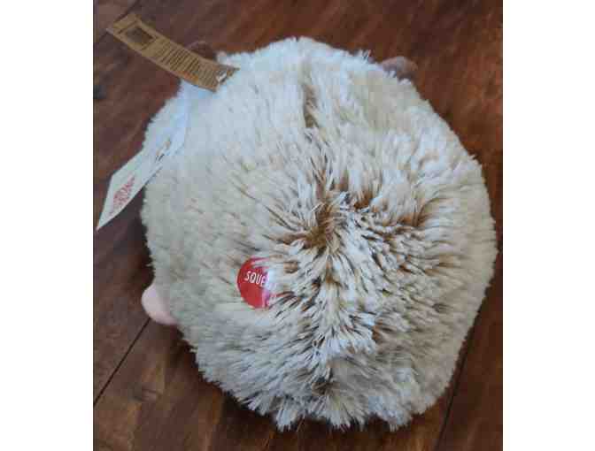2022 Petsmart Cherish the Hedgehog Plush 2022