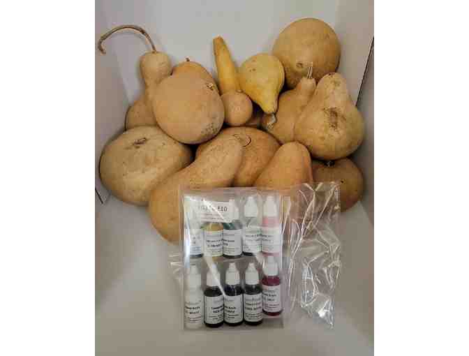 Welburn Gourd Farm - Gourd Kit and Ink Set - Photo 2
