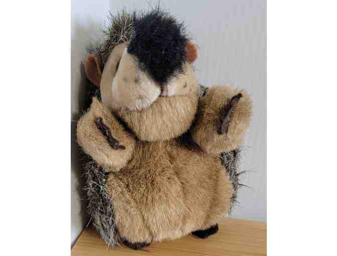 #11 Fred the Hedgehog - 5' Plush Pal Full of Personality