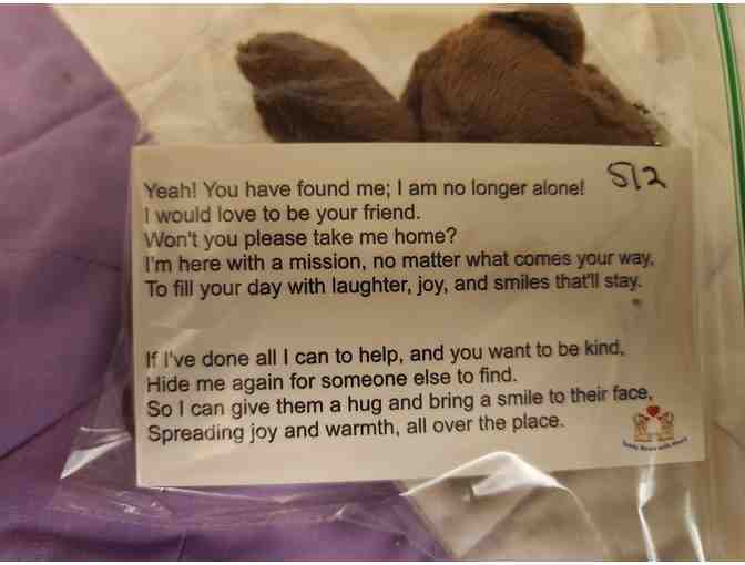 Compassion in Action Bears