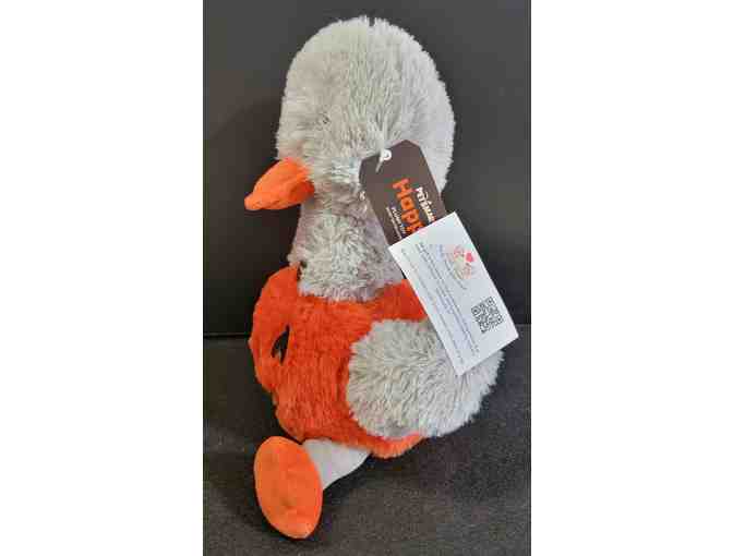 Happy - Petsmart Halloween Pumpkin Duck