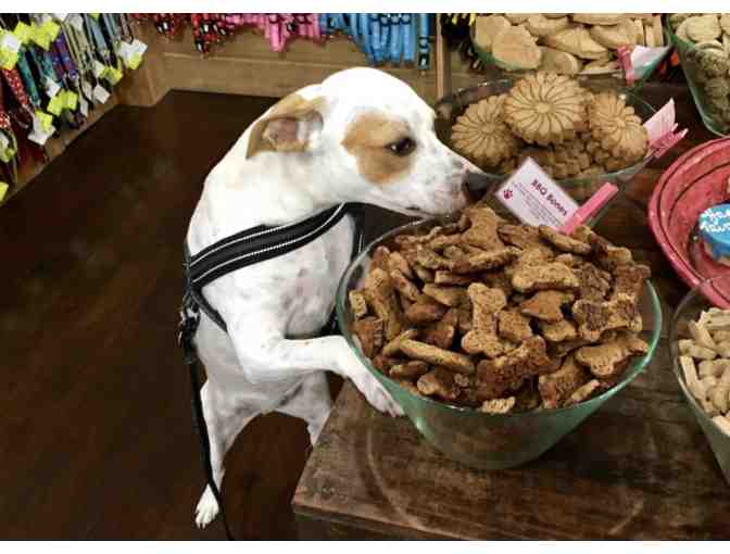 Free Treats for Your Pooch