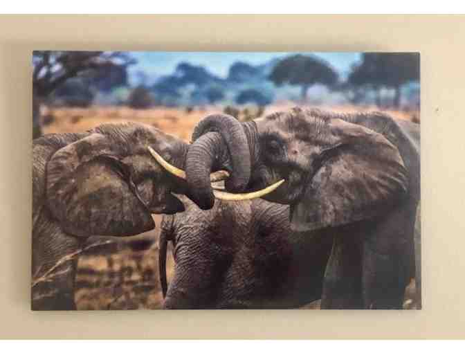 Metal Framed Elephant photo