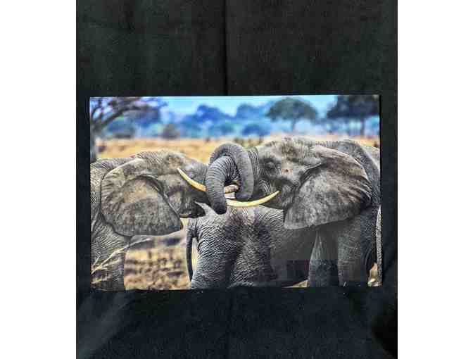 Metal Framed Elephant photo