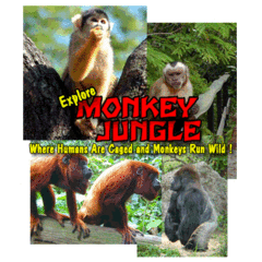 Monkey Jungle