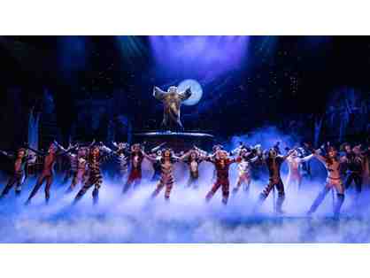 VIP Experience to CATS at Palace Theater