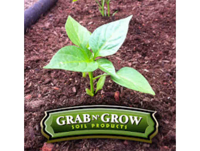 Grab N' Grow - Four Bags of Mango Mulch Organic Compost
