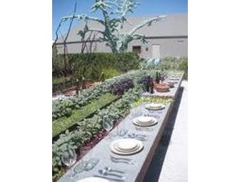 Garden Tour and Lunch for 4 at Cornerstone, Sonoma