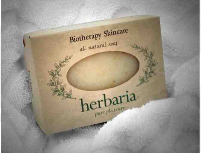 Herbaria Soap Sampler of Six Handcrafted Soaps