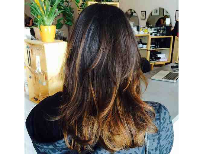 1 Conditioning Treatment with a Blow Dry Style at ReFrame Hair Gallery in Sebastopol - Photo 1