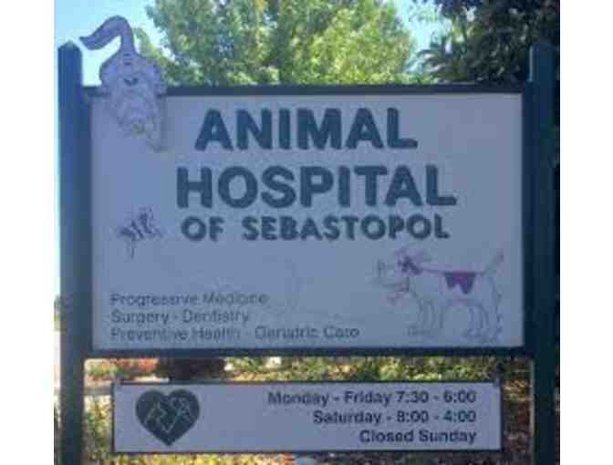 Gift Certificate for 1 Health Exam and 2 Vaccines at Animal Hospital of Sebastopol