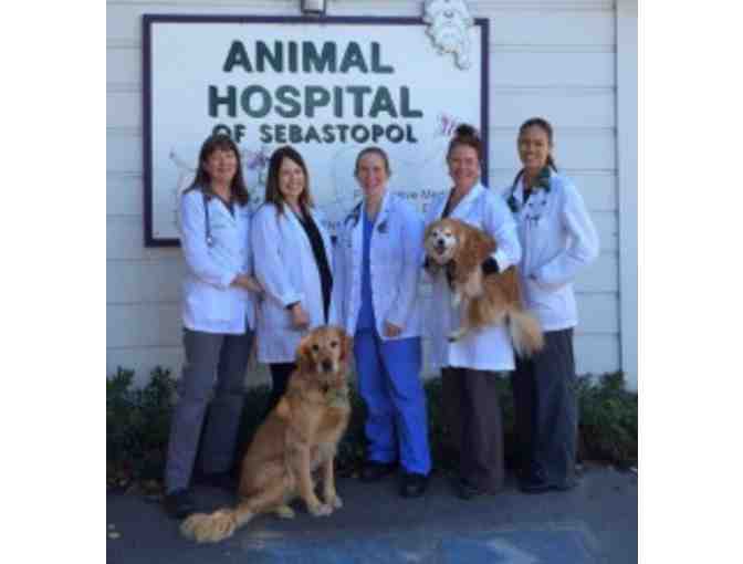 Gift Certificate for 1 Health Exam and 2 Vaccines at Animal Hospital of Sebastopol